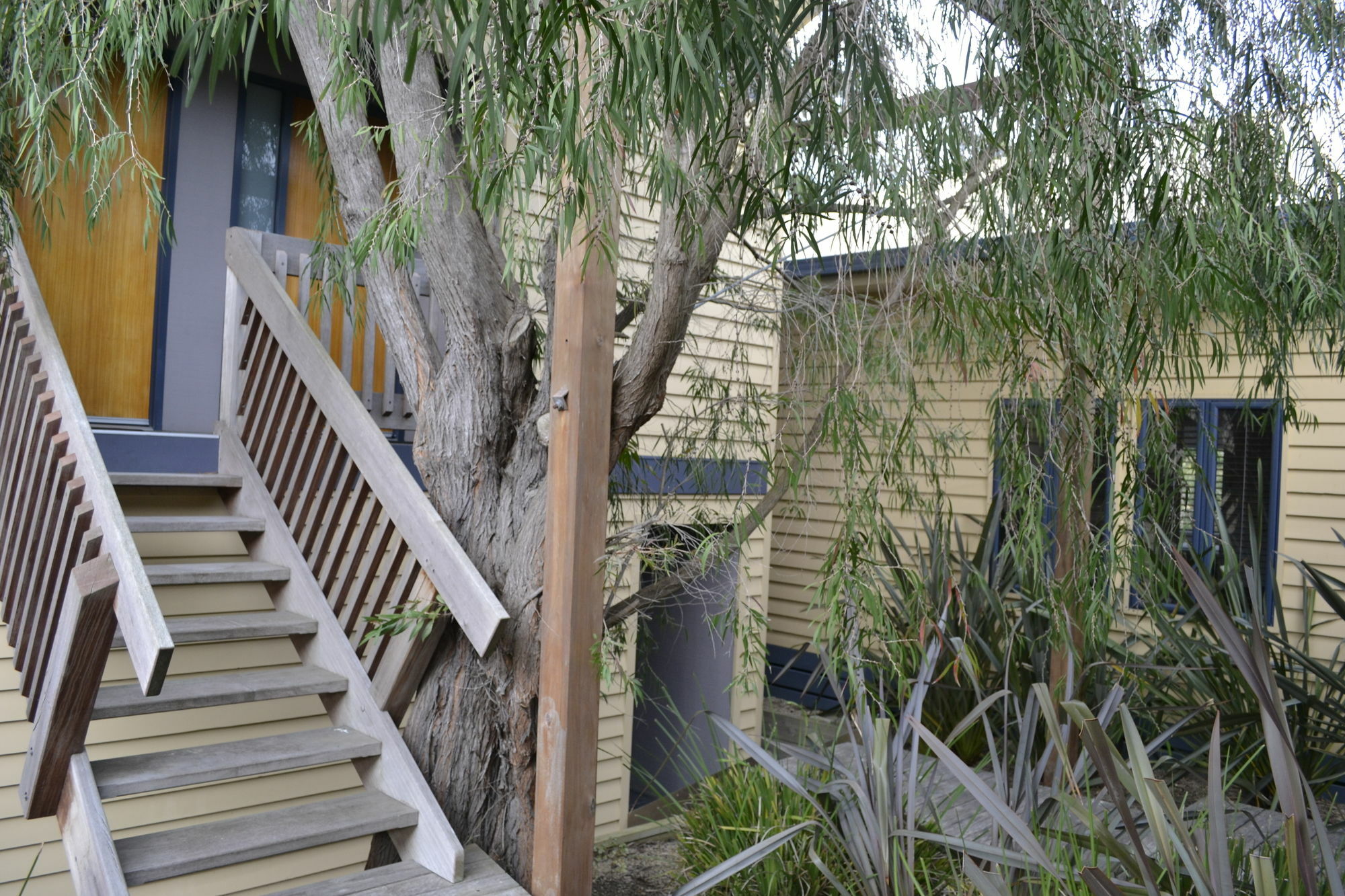 Sandpiper Motel Apollo Bay Exteriör bild